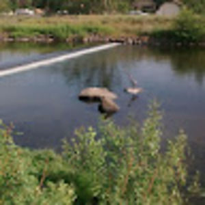 Meet your Posher, Juddson